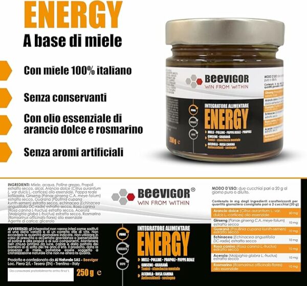 Integratori Stanchezza Fisica e Mentale - Ottimo Boost Pre-Gara con Ginseng e Guarana - Made in Trentino, 250 gr - immagine 2